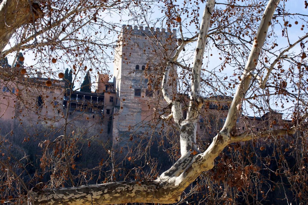 Embrujo De Granada - Free Parking - Paseo De Los Tristes - Wifi المظهر الخارجي الصورة